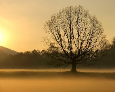 09/08/10 - Yet Another Sunrise/set  - Cades Cove, Great Smokies