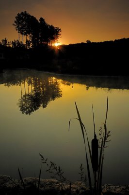 09/12/10 - Sunrise Silhouettes