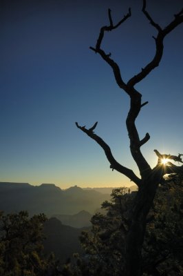 09/15/10 - Sunrise at Grand Canyon (note person at 7:30 relative to sunburst)