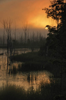 09/19/10 - Misty Wetlands Sunrise at Sleeping Bear Dunes National Lakeshore Park