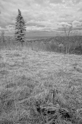 2/7/08 - Big Meadows Infrared