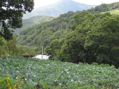 fertile and beautiful land