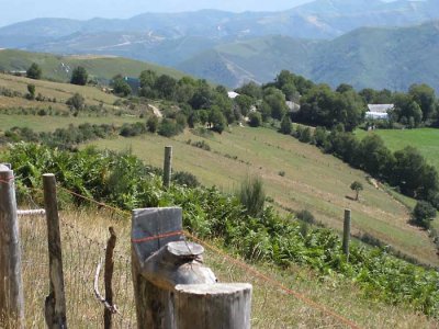 on steep climb up to o cebreiro