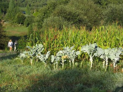 day 6 early start through good farmland
