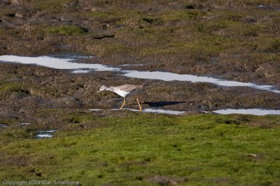 _MG_3185.jpg