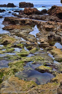 Tide pools