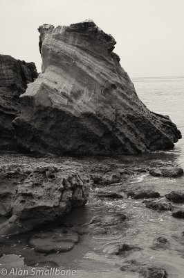 Sepia rocks