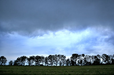 Brewing Storm