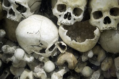 Killing Fields Remains
