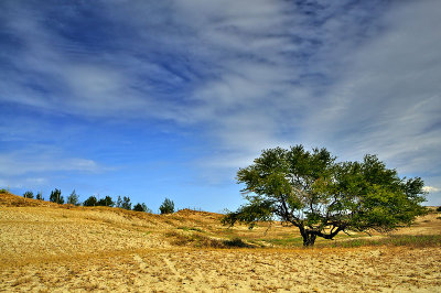 Sand Dunes in Ilocos