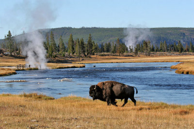 Yellowstone 2009