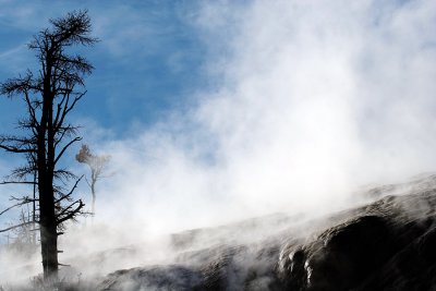 IMG_8117 YNP Mammoth Hot Springs.jpg