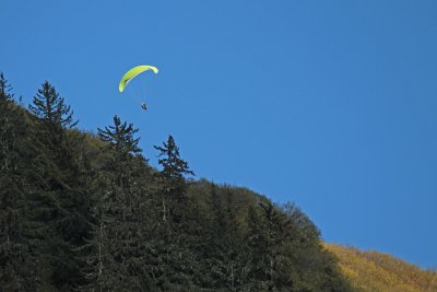 IMG_8926 Mt Roberts paraglider.jpg