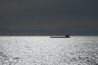 IMG_0210 freighter silhouette.jpg