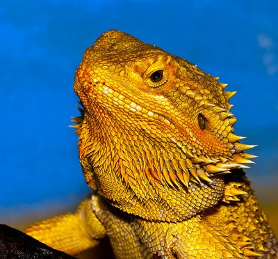 monitor-1-.jpg