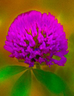 colored-weed-3-.jpg