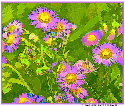 mixed flowers 2 .jpg
