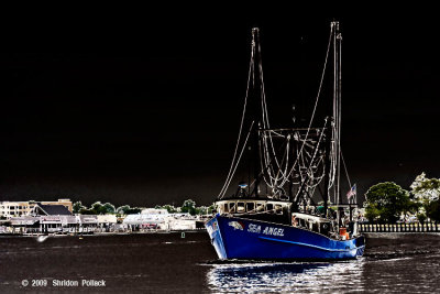 sea-angle-2.jpg