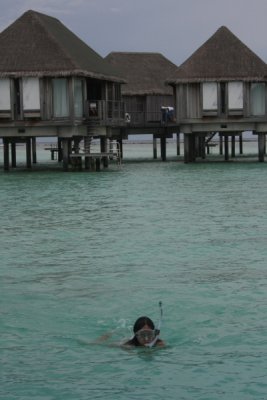 IMG_9379.JPG