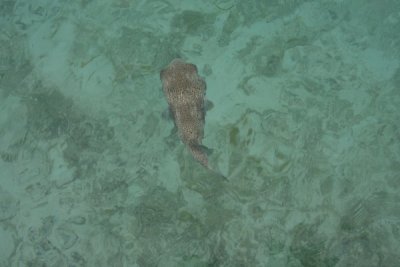 IMG_9386.JPG
