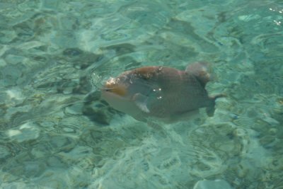 IMG_9589.JPG