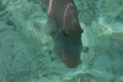 IMG_9590.JPG