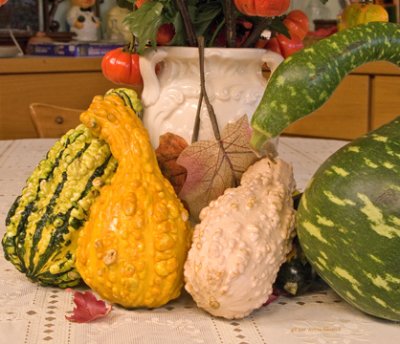 zIMG_0052 gourds with vase.jpg