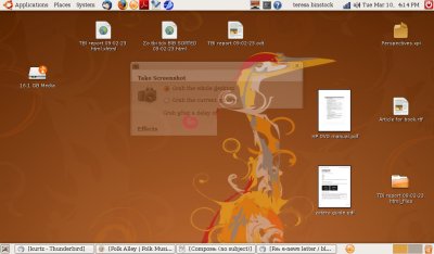 Desktop on Asus 901 running Ubuntu Hardy Heron
