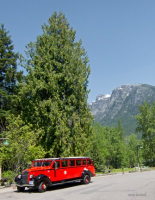 z IMG_0135 Red Bus at Lake McDonald Lodge in Glacier.jpg