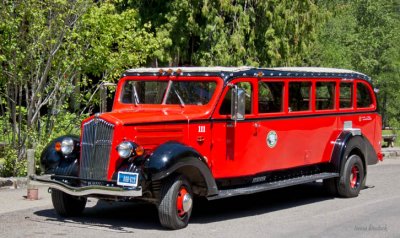 z IMG_0136 Red Bus for tours of Glacier National Park.jpg