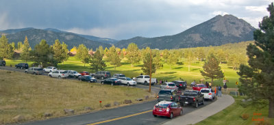 z IMG_2830 Elk watching at dusk - traffic jam