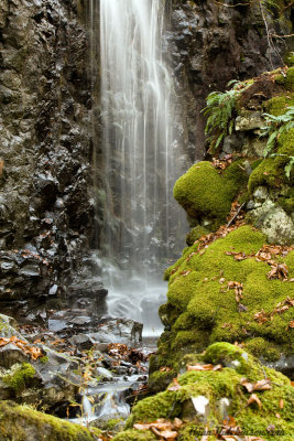 Porcupine Falls