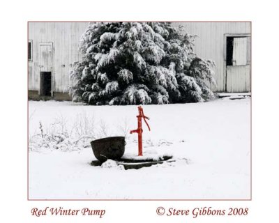 Red Winter Pump