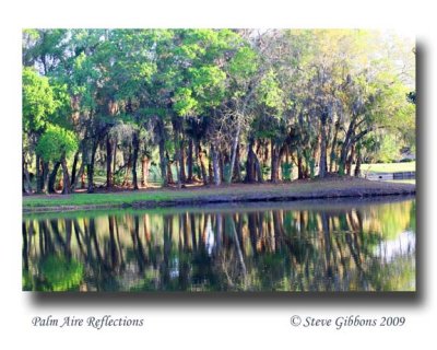 Palm Aire Reflections