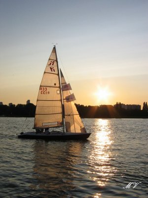 g1/32/617832/3/106679762.LGwyCSMM.jpg