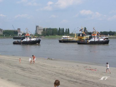 g1/32/617832/3/106679771.MUWhYRlh.jpg