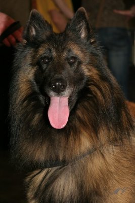 g1/32/617832/3/111308591.yVocCiXI.jpg