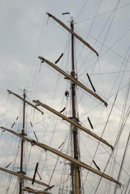 (49).JPG