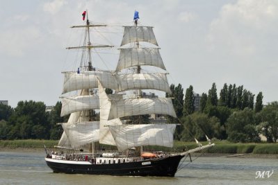 (143).JPG