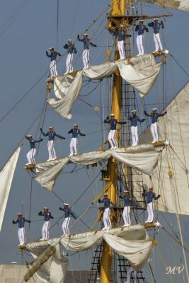 tall_ships_antwerpen