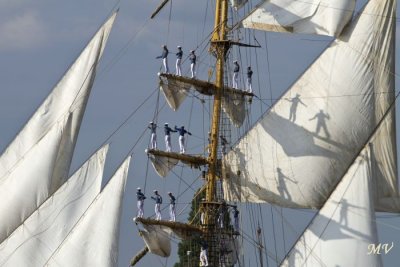 (346).JPG