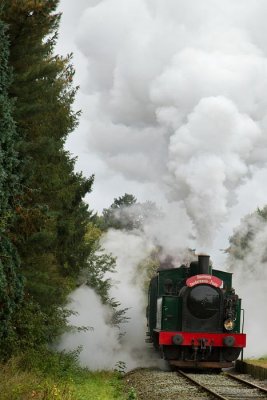 (119).JPG