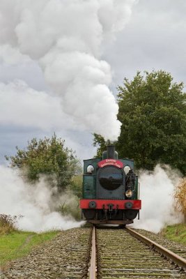 (125).JPG