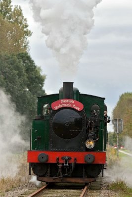 (140).JPG