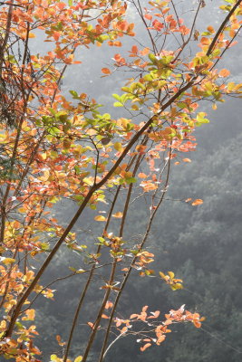 Jiuxiang (9 Villages) Scenic region.