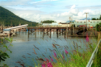 Alaska - Inside Passage 2000
