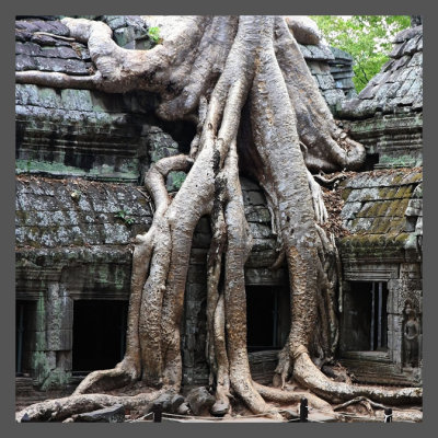 Cambodia- The silent stones