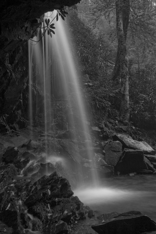Landscape, Grotto Falls--Smoky Mountain National Park