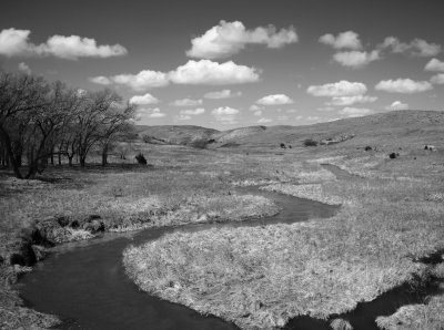 Journey into the Heart of Flyover Country