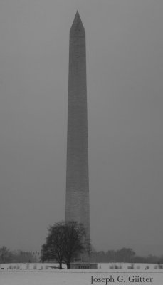 _MG_3738 copy.jpg